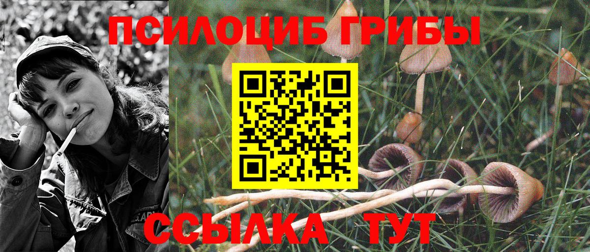 Таганрог  Псилоцибиновые грибы Cubensis  Вход с VPN  Псилоцибиновые грибы GOLDEN TEACHER 