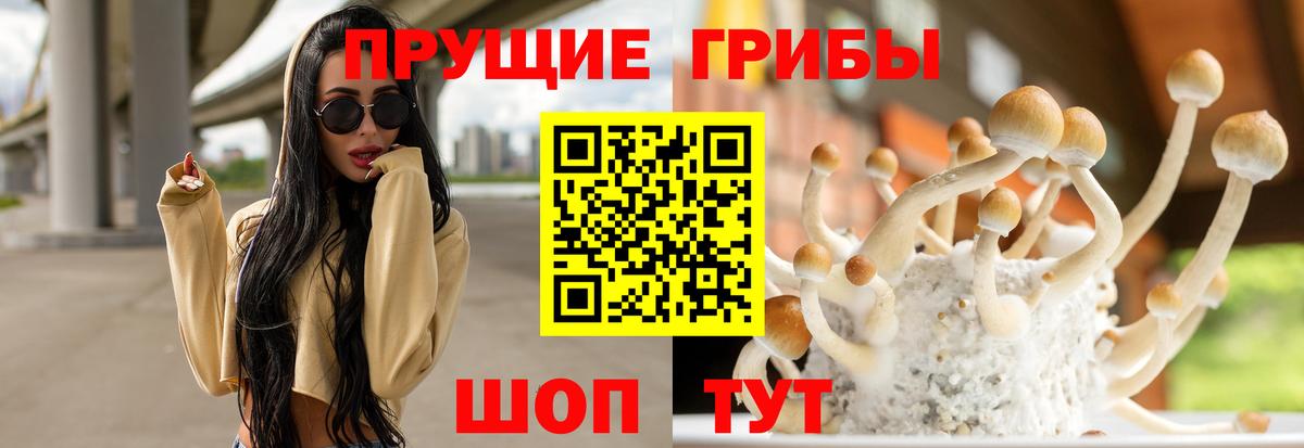 Галлюциногенные грибы ЛСД Таганрог